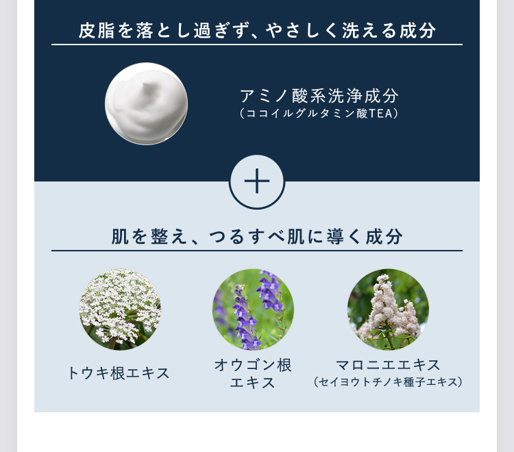 皮脂を落とし過ぎず、やさしく洗える成分。アミノ酸系洗浄成分(ココイルグルタミン酸TEA）+肌を整え、つるすべ肌に導く成分。トウキ根エキス、オウゴン根エキス、マロニエエキス（セイヨウトチノキ種子エキス）