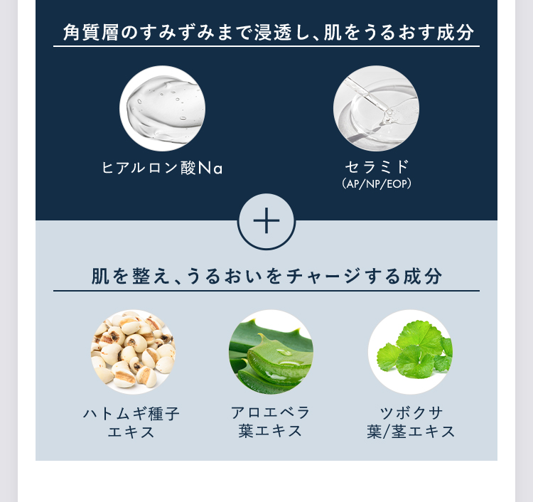 角質層のすみずみまで浸透し、肌をうるおす成分。ヒアルロン酸Na、セラミド（AP/NP/EOP）+肌を整え、うるおいをチャージする成分。ハトムギ種子
          エキス、アロエベラ葉エキス、ツボクサ葉/茎エキス。