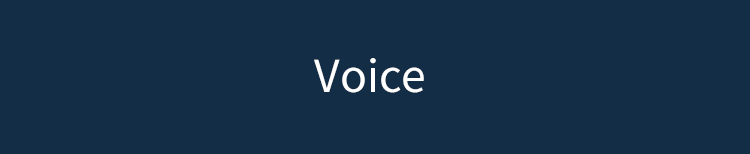 voice
